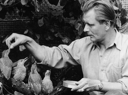 Heinz Sielmann beim Fuettern von jungen Gruenspechten, Foto Heinz Sielmann Stiftung